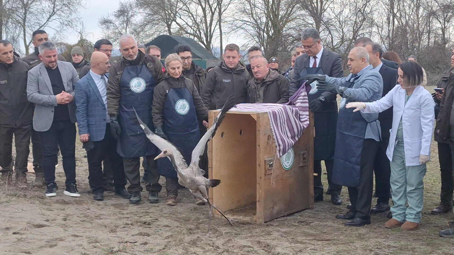 A A 20260202 40441390 40441386 S A M S U N K I Z I L I R M A K D E L T A S I N D A Y A B A N H A Y V A N L A R I D O G A Y A S A L I N D I