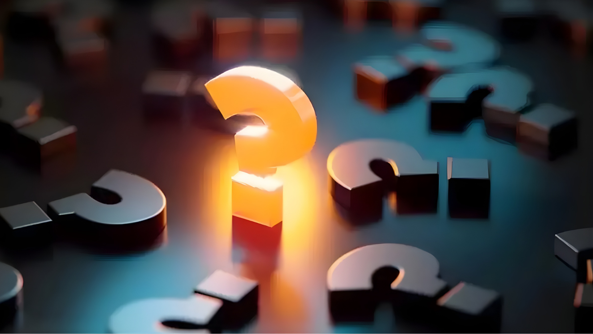 Gazete Arena Samsun (52)