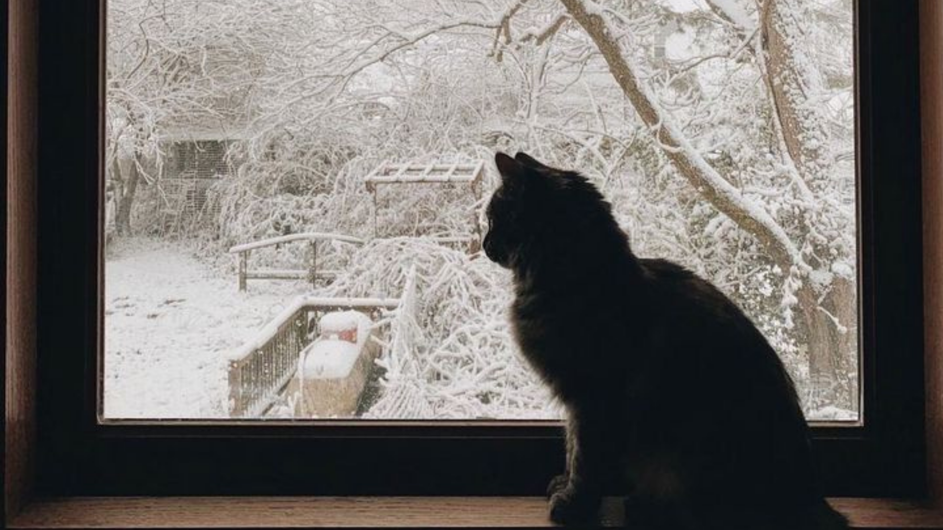 Gazete Arena Samsun (59)