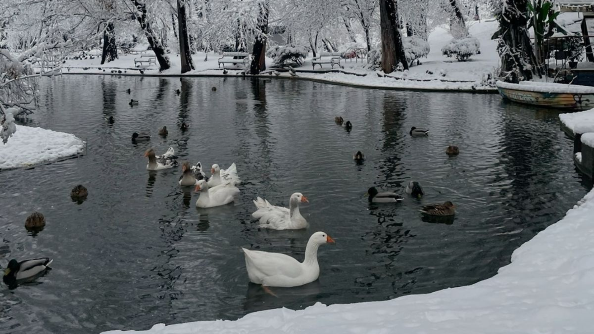 Gazete Arena Samsun (60)