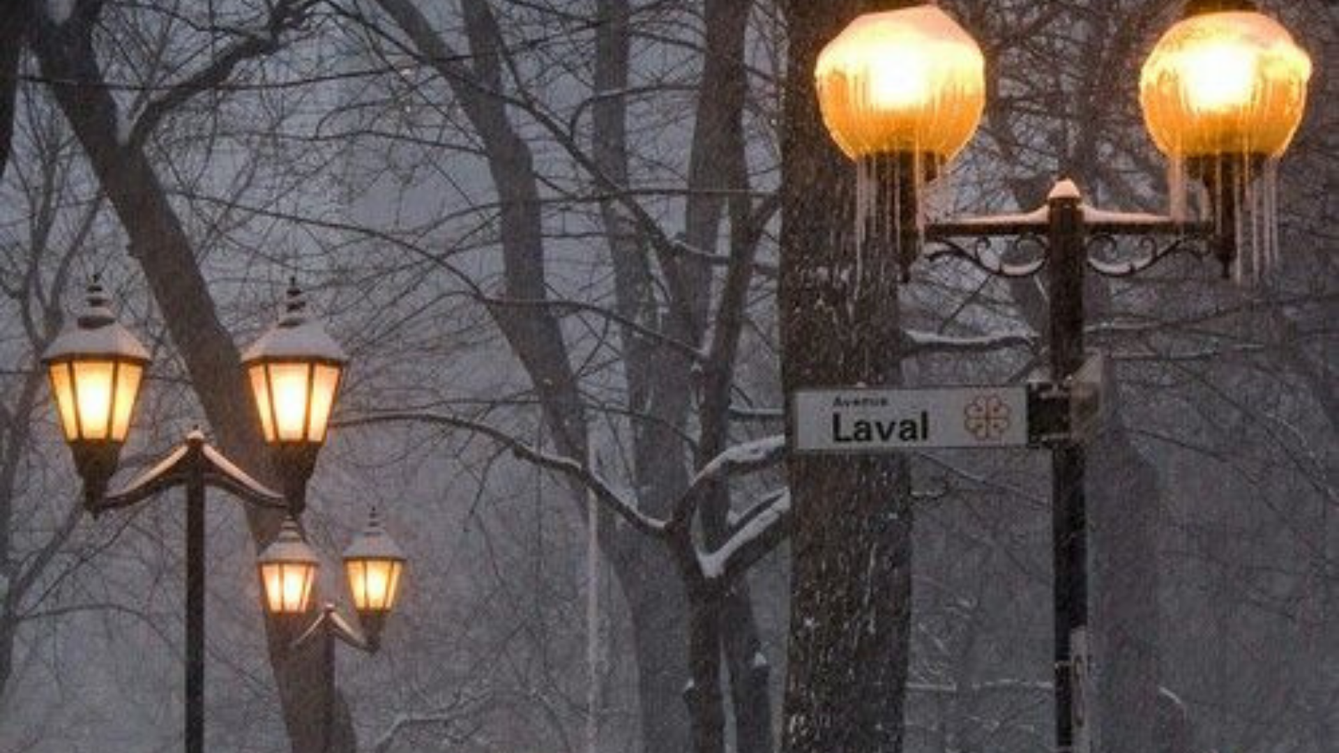 Gazete Arena Samsun (61)