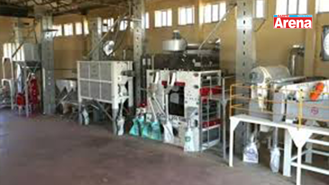 Bafra Çeltik Tohum Eleme Tesisi Yapılacak