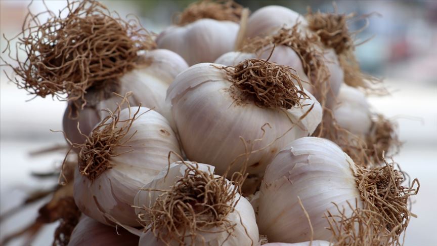 Thumbs B C E89D3B0Dcc1F8450B5570C1A8Aaa43C4