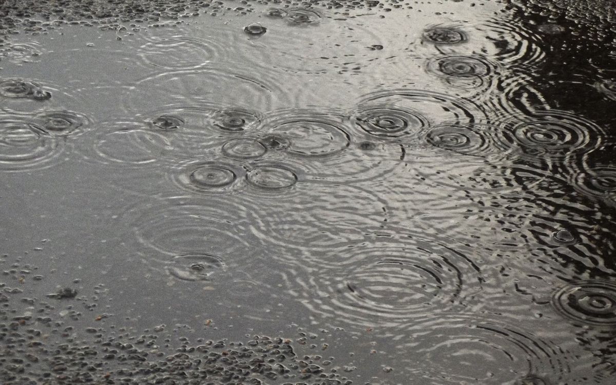 961C8620Df64546A4787Ba25Ac7Ad84C