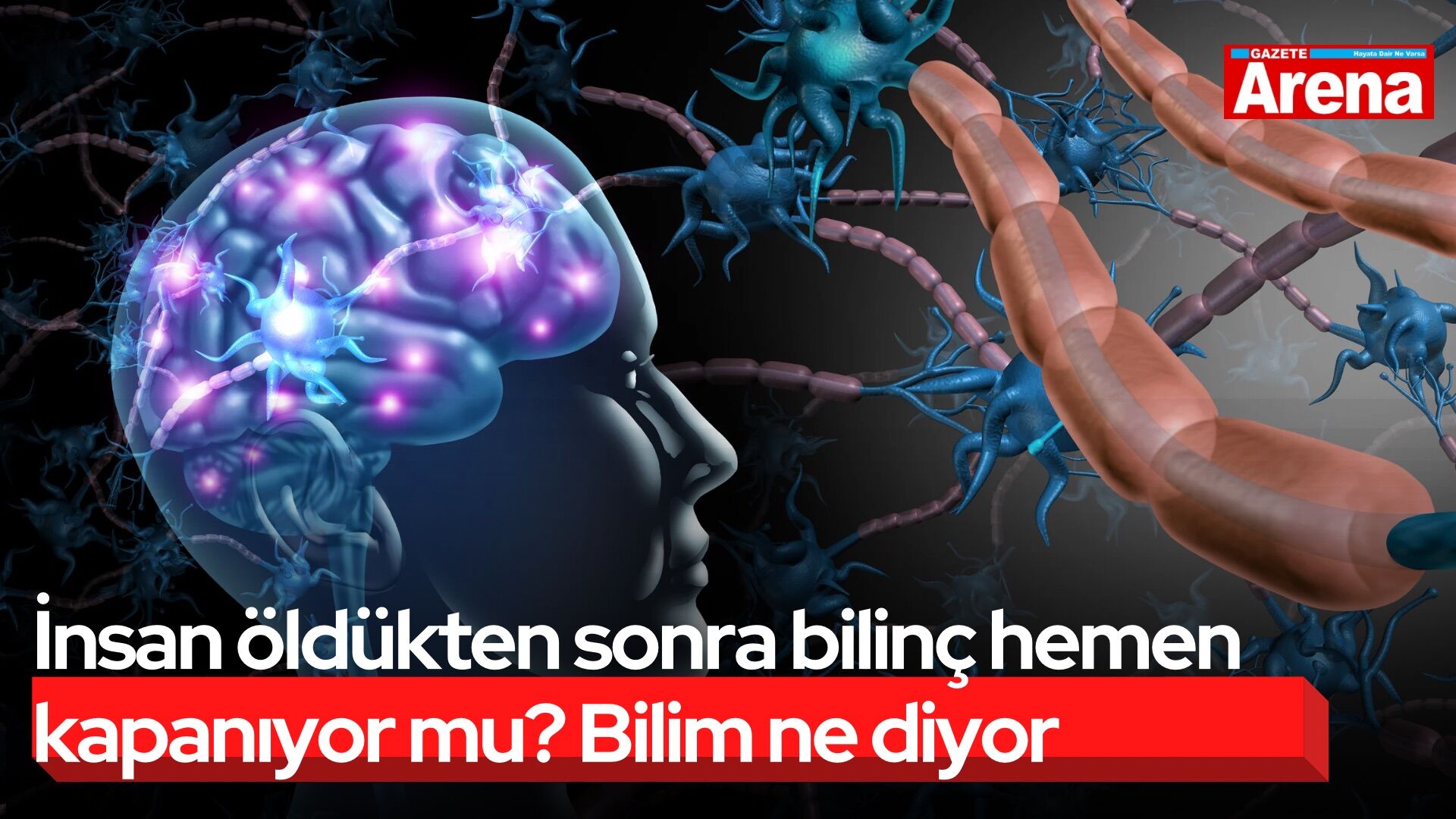 İnsan öldükten sonra bilinç hemen kapanıyor mu? Bilim ne diyor
