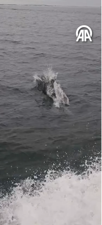 Ekran Görüntüsü 2026 03 26 222326