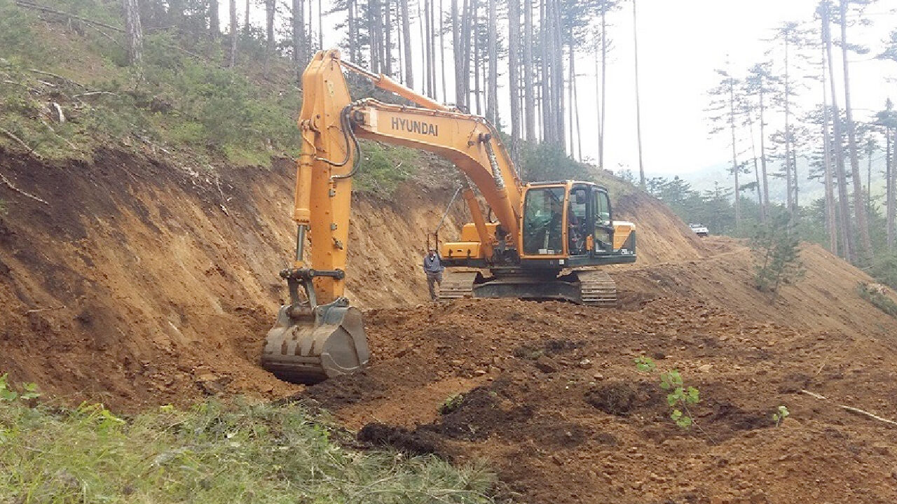 Orman Yolu Yaptırılacak