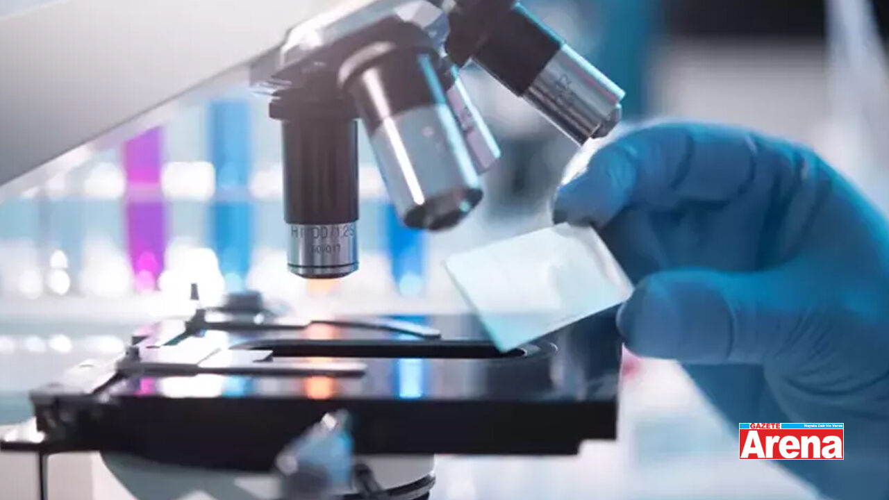 Laboratuvar Hizmeti Alınacak