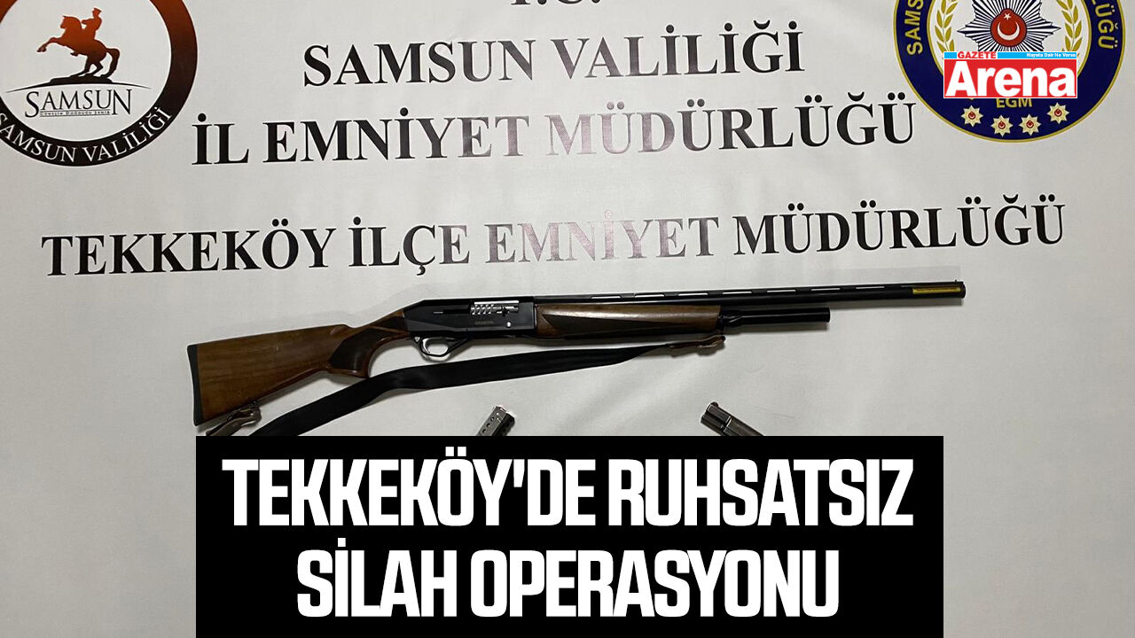 Tekkeköy'de ruhsatsız silah operasyonu