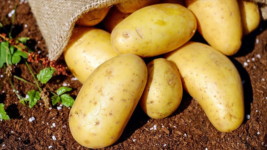 Thumbs B C E30927Df398B7F51E8Aeb75E2Eeb7996