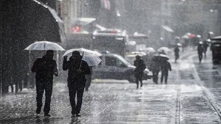 3531Bc1163D508Bbcd16Cbcceef41583