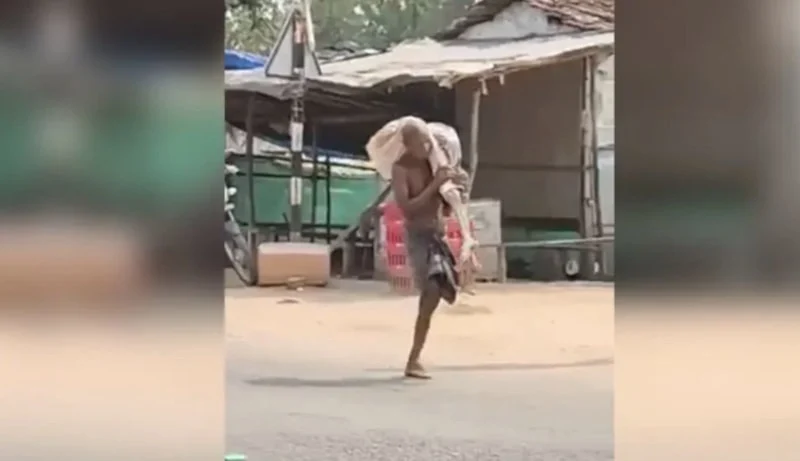 69F0C34E2C781823 W1200Xh692