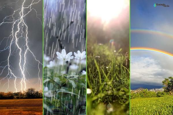 Cb81375338129435Abaa949671495662