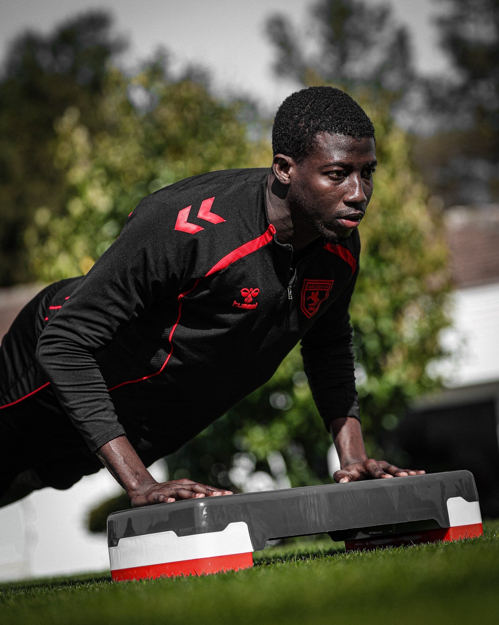 H G C M2T N Xs A A Bzz