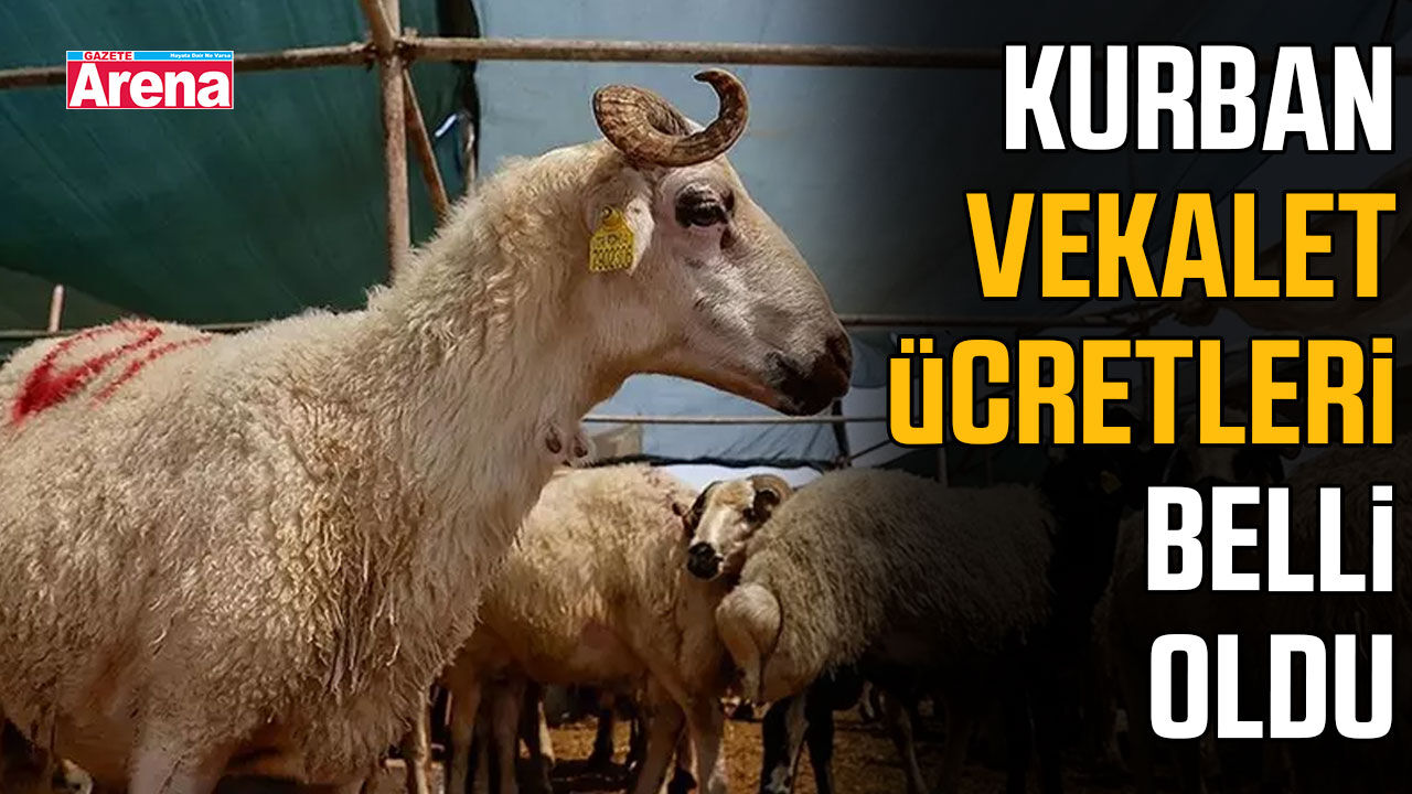 Kurban vekalet ücretleri belli oldu