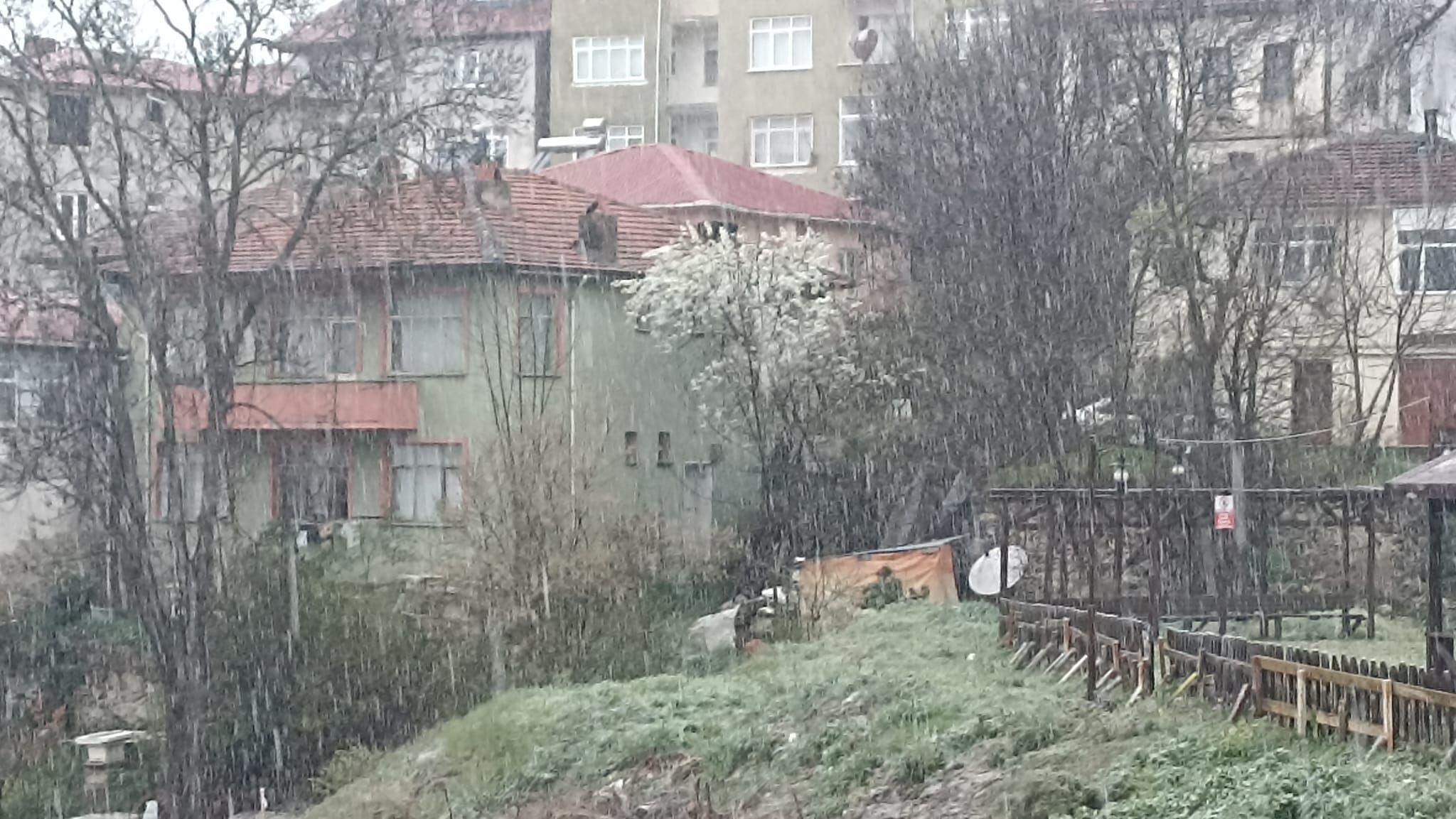 Whatsapp Image 2026 04 10 At 18.18.22