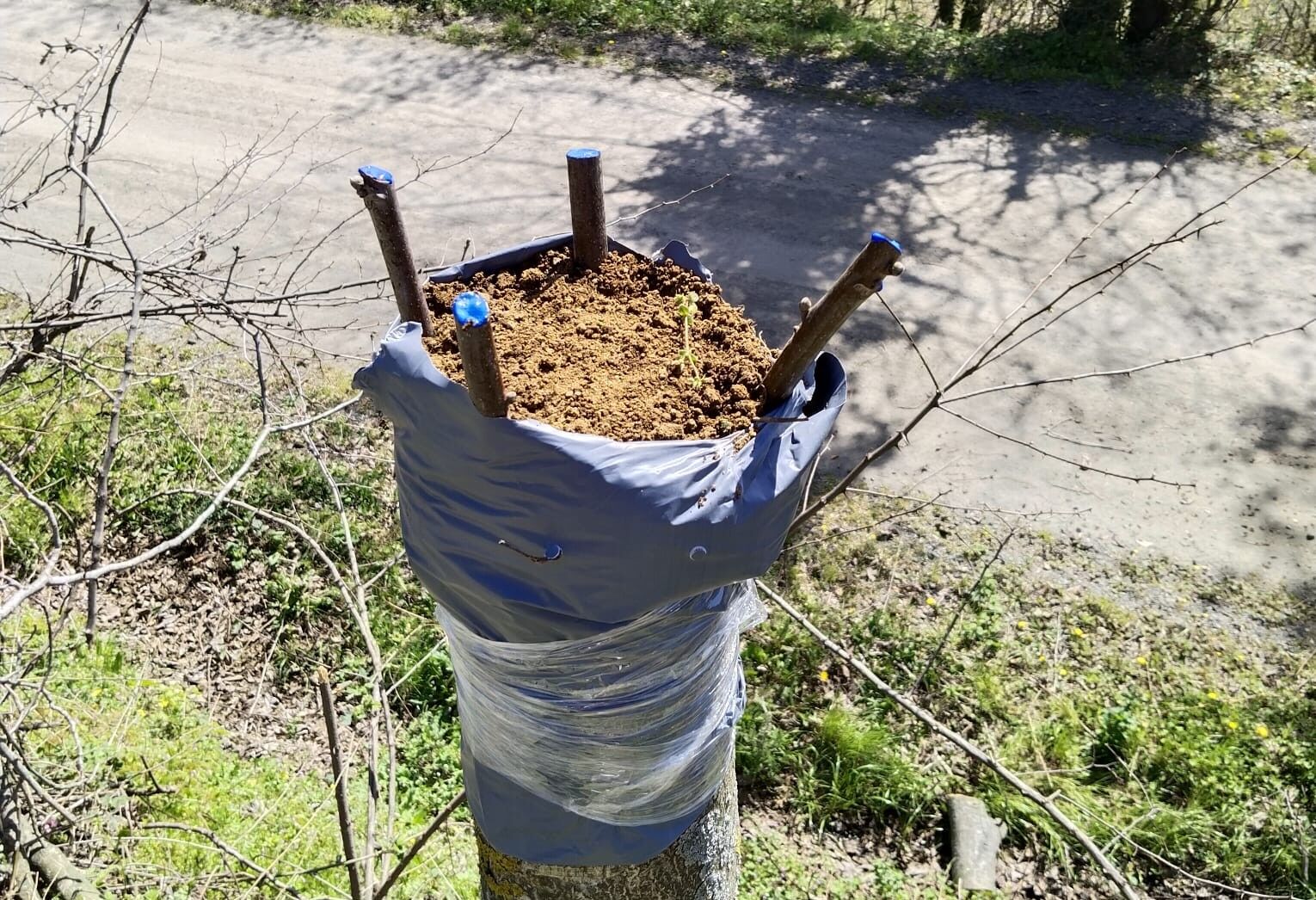 Whatsapp Image 2026 04 17 At 18.18.52 (1)