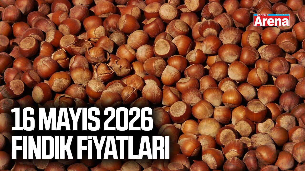 16 Mayıs 2026 il il güncel fındık fiyatları