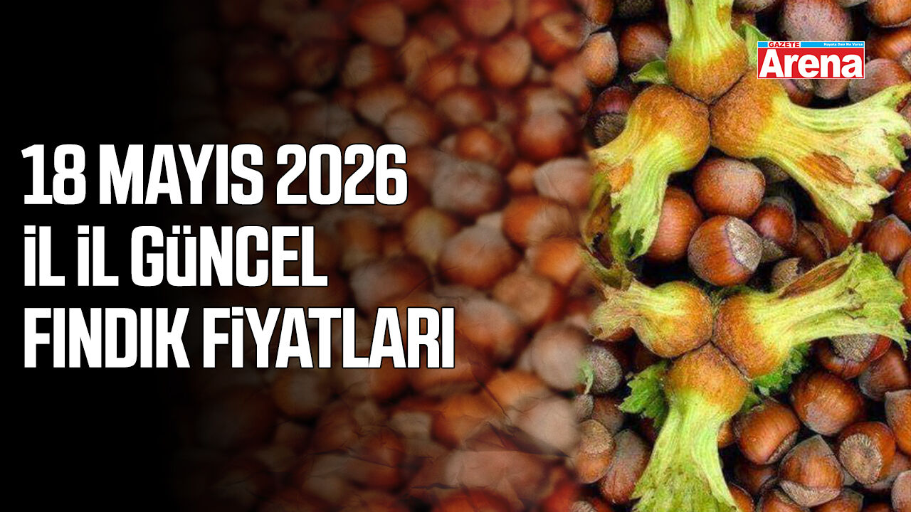 18 Mayıs 2026 güncel fındık fiyatları