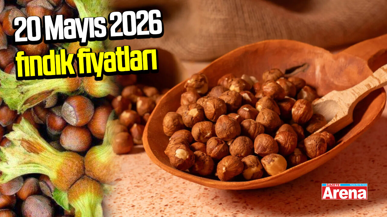 20 Mayıs 2026 il il güncel fındık fiyatları