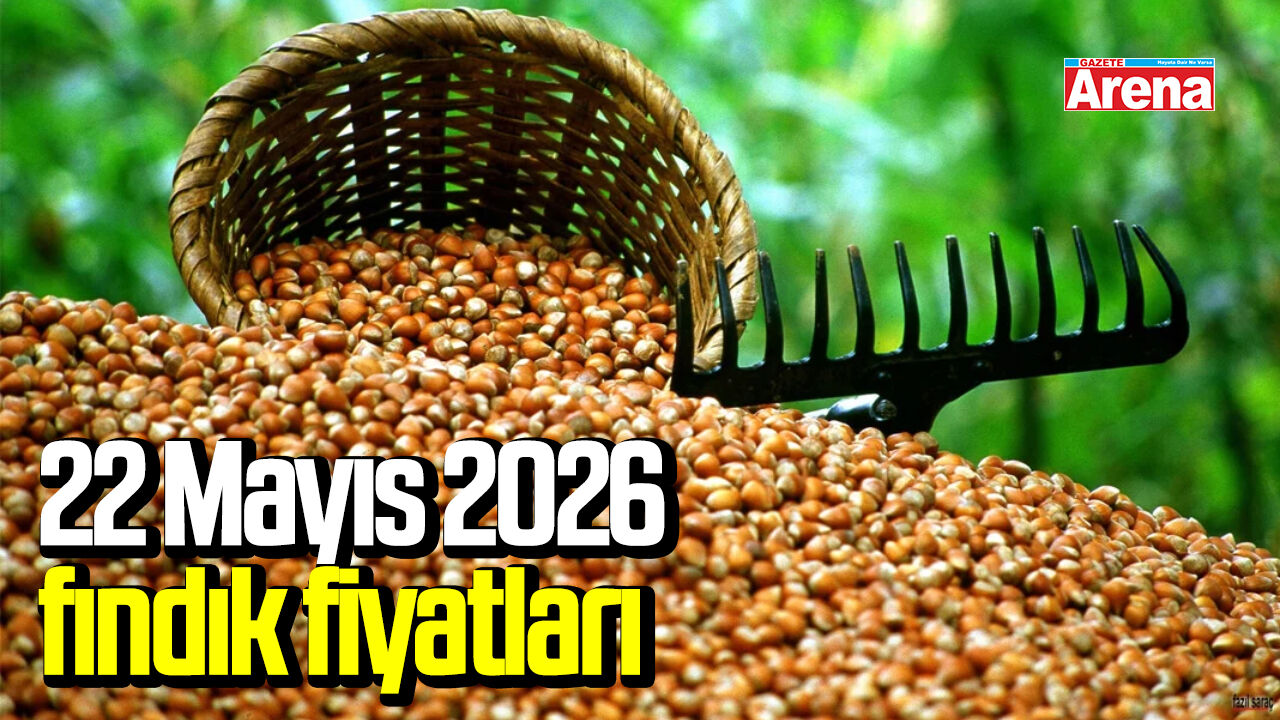 22 Mayıs 2026 güncel fındık fiyatları