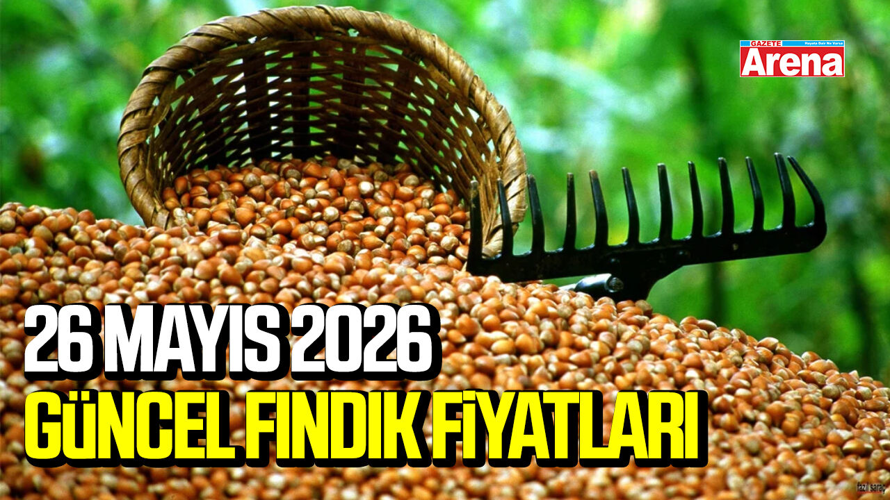 26 Mayıs 2026 güncel fındık fiyatları