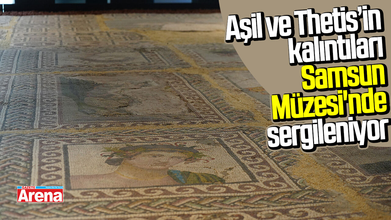 Aşil'in kalıntıları Samsun Müzesi'nde sergileniyor