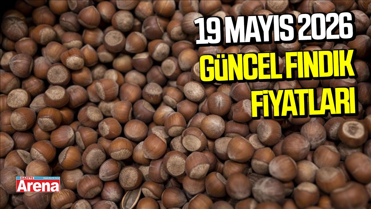 19 Mayıs 2026 il il güncel fındık fiyatları