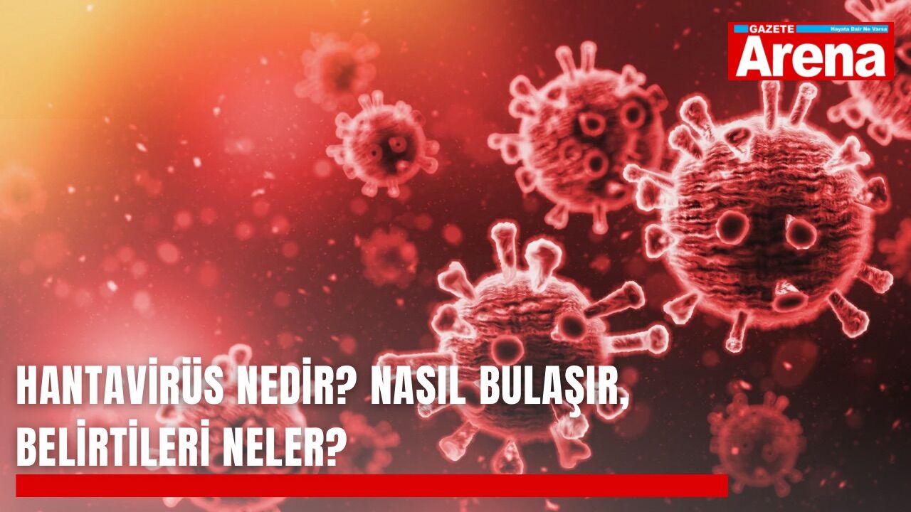 Hantavirüs nedir? Nasıl bulaşır, belirtileri neler?
