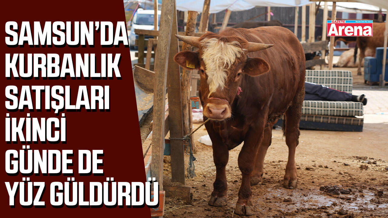 Samsun’da kurbanlık satışları ikinci günde de yüz güldürdü