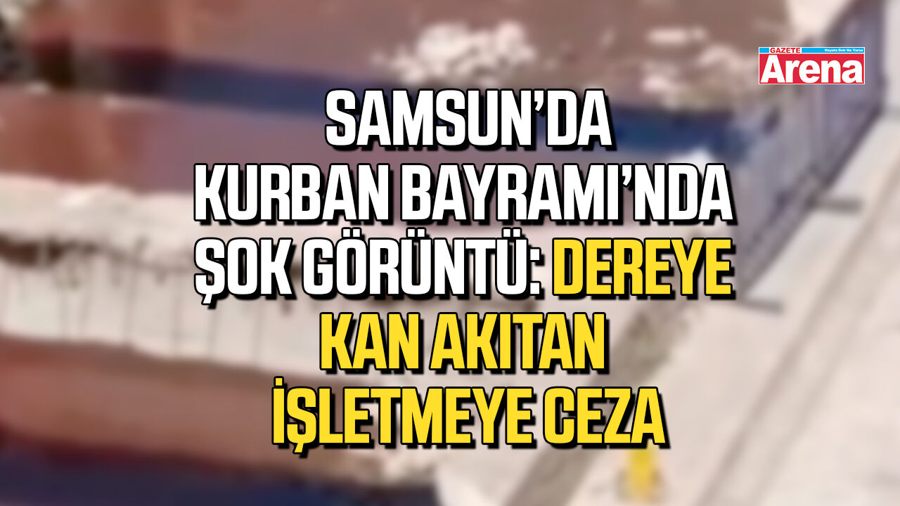 Samsun'da dereye hayvan kanı akıtan işletmeye ceza!