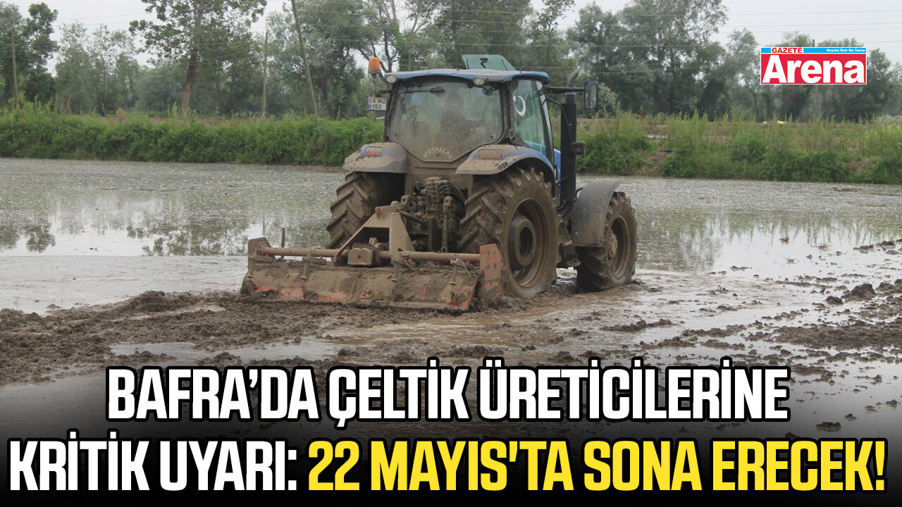 Bafra’da çeltik üreticilerine kritik uyarı: 22 Mayıs'ta sona erecek!