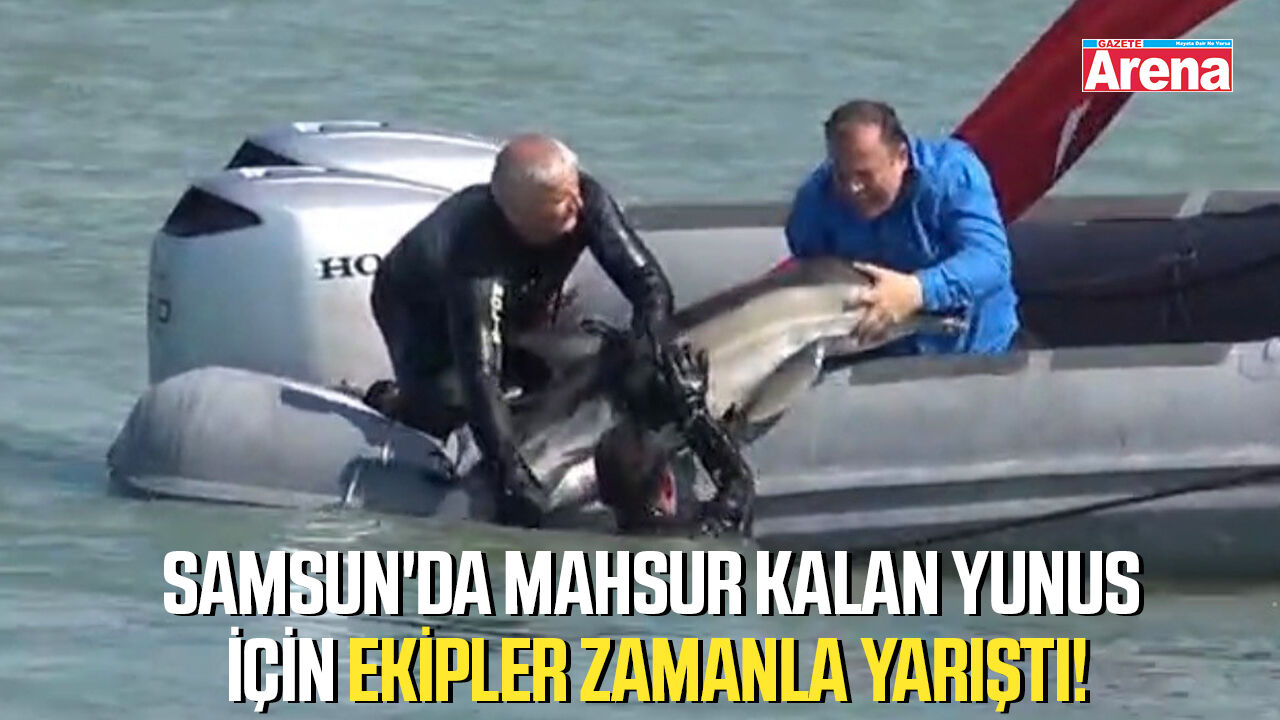 Samsun'da mahsur kalan yunus için ekipler zamanla yarıştı!