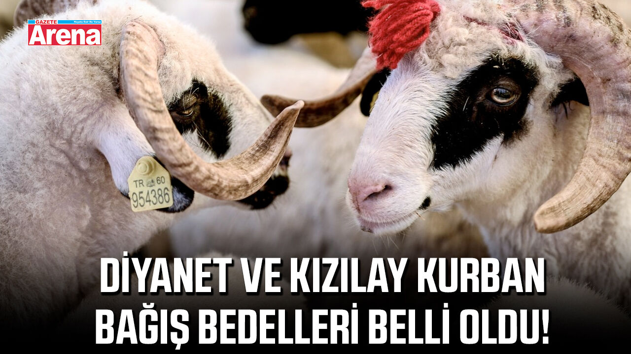 Diyanet ve Kızılay kurban bağış bedelleri belli oldu!
