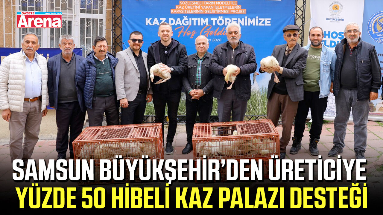 Samsun’da üreticiye yüzde 50 hibeli kaz palazı desteği