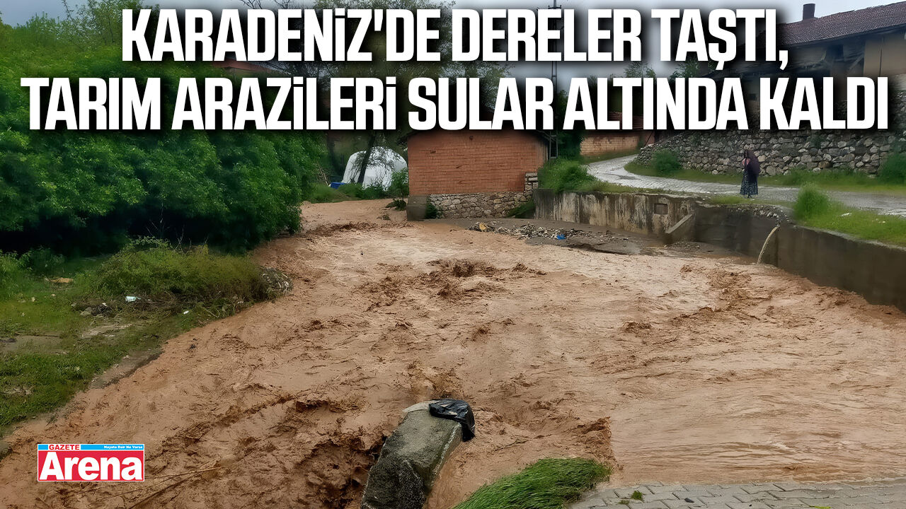 Karadeniz'de dereler taştı, tarım arazileri sular altında kaldı