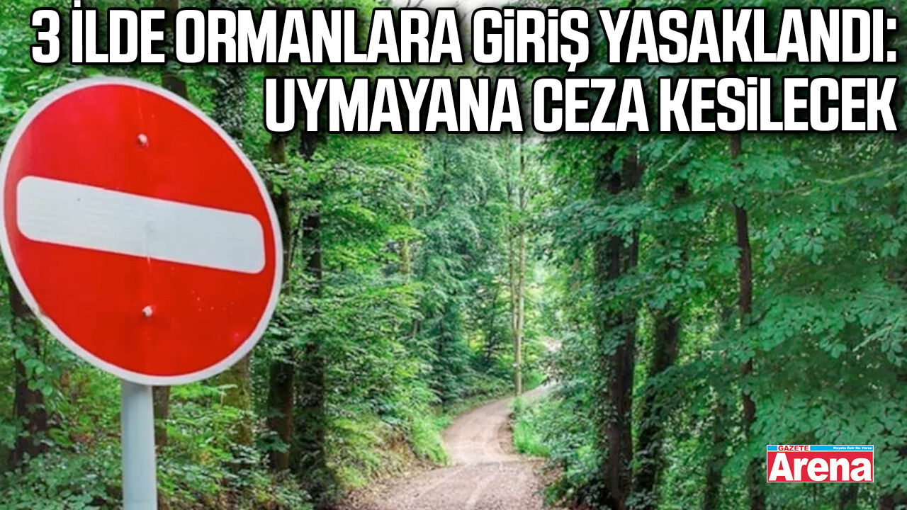 3 İlde ormanlara giriş yasaklandı