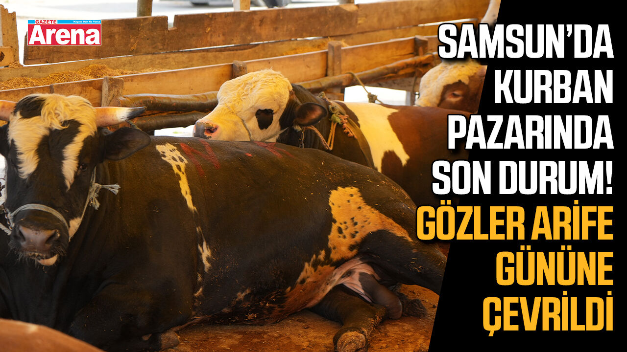 Samsun'da kurban pazarında son durum! Gözler arife gününe çevrildi