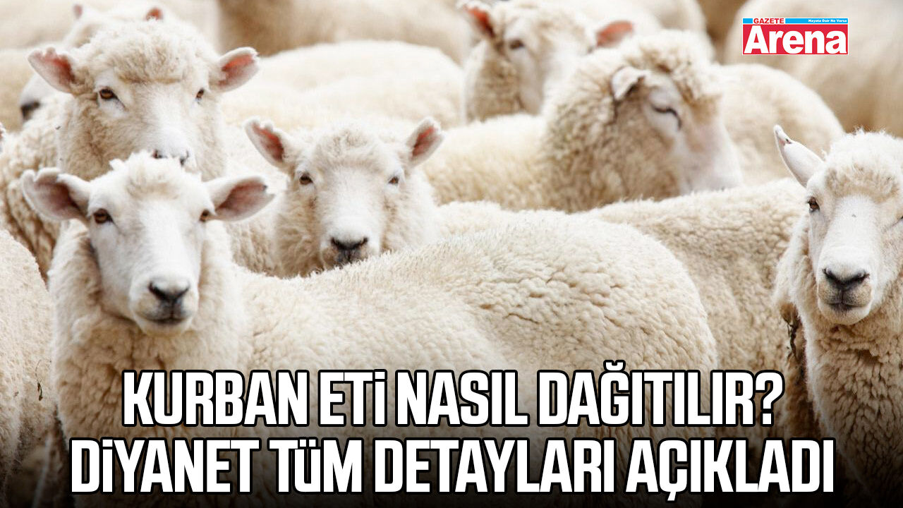 Kurban eti nasıl dağıtılır? Diyanet tüm detayları açıkladı