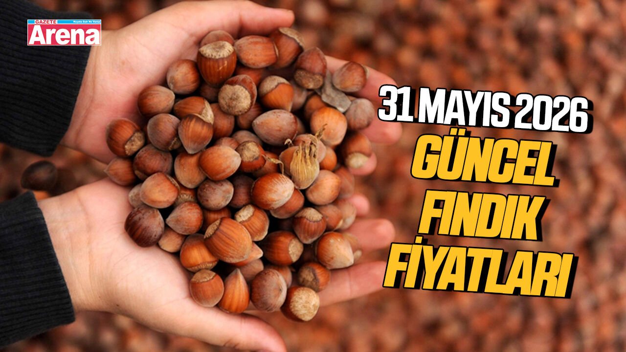 31 Mayıs 2026 güncel fındık fiyatları