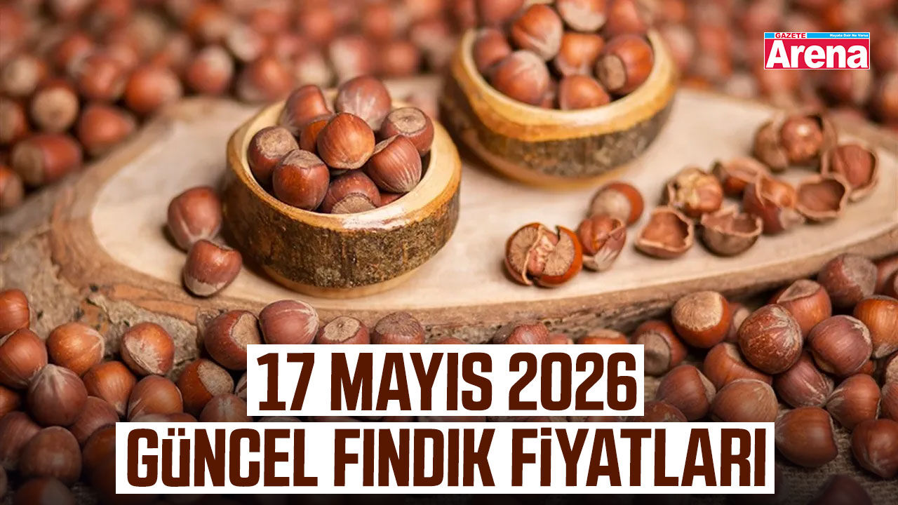 17 Mayıs 2026 güncel fındık fiyatları