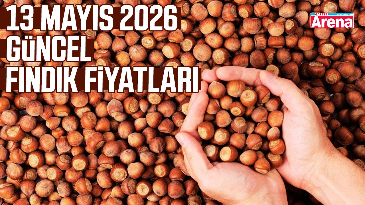 13 Mayıs 2026 il il güncel fındık fiyatları