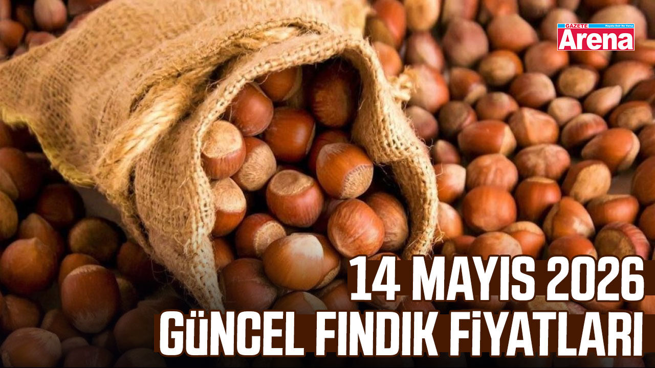 14 Mayıs 2026 güncel fındık fiyatları