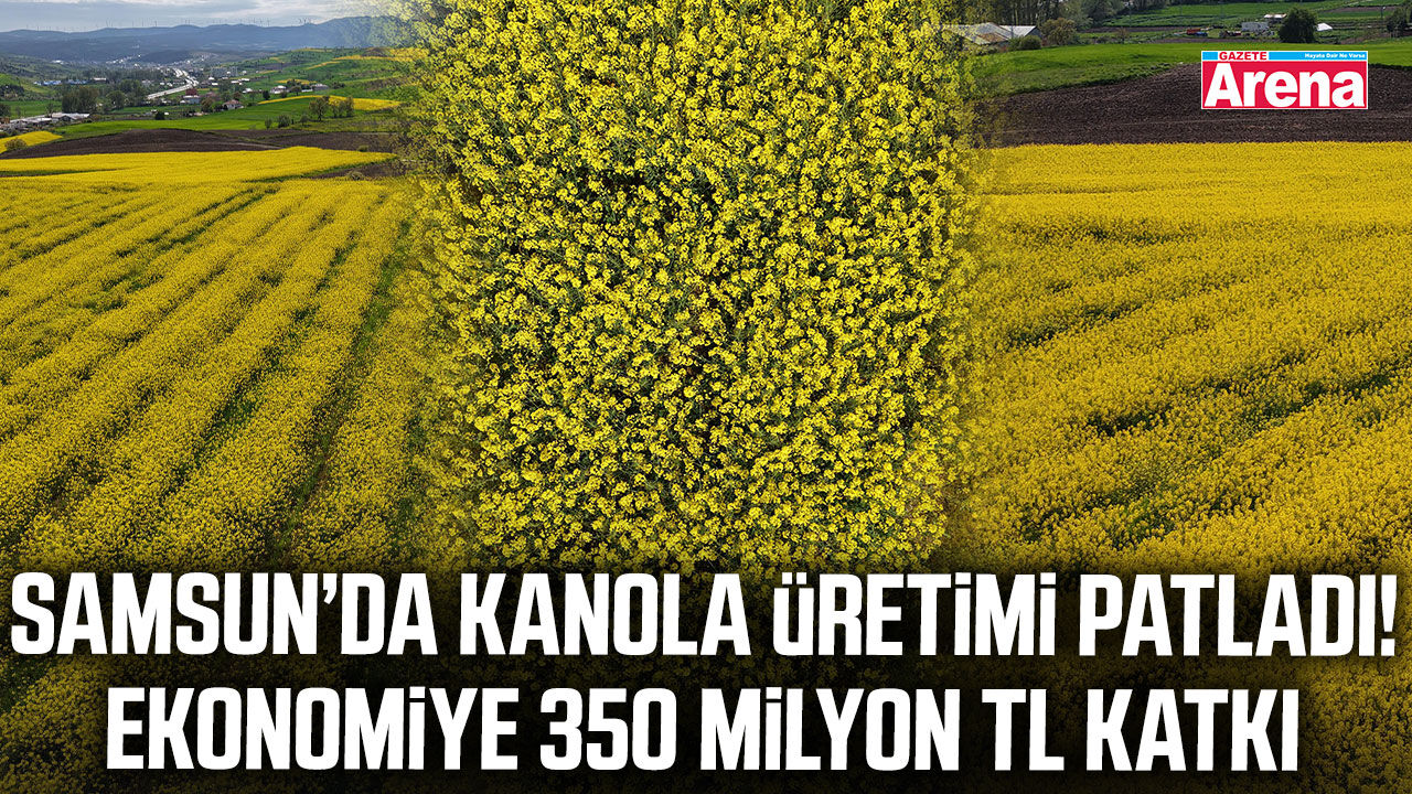 Samsun’dan ekonomiye 350 milyon TL katkı