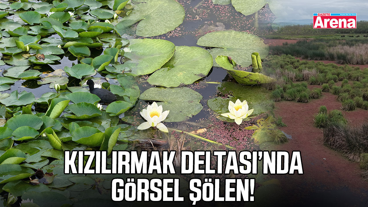 Kızılırmak Deltası’nda görsel şölen!