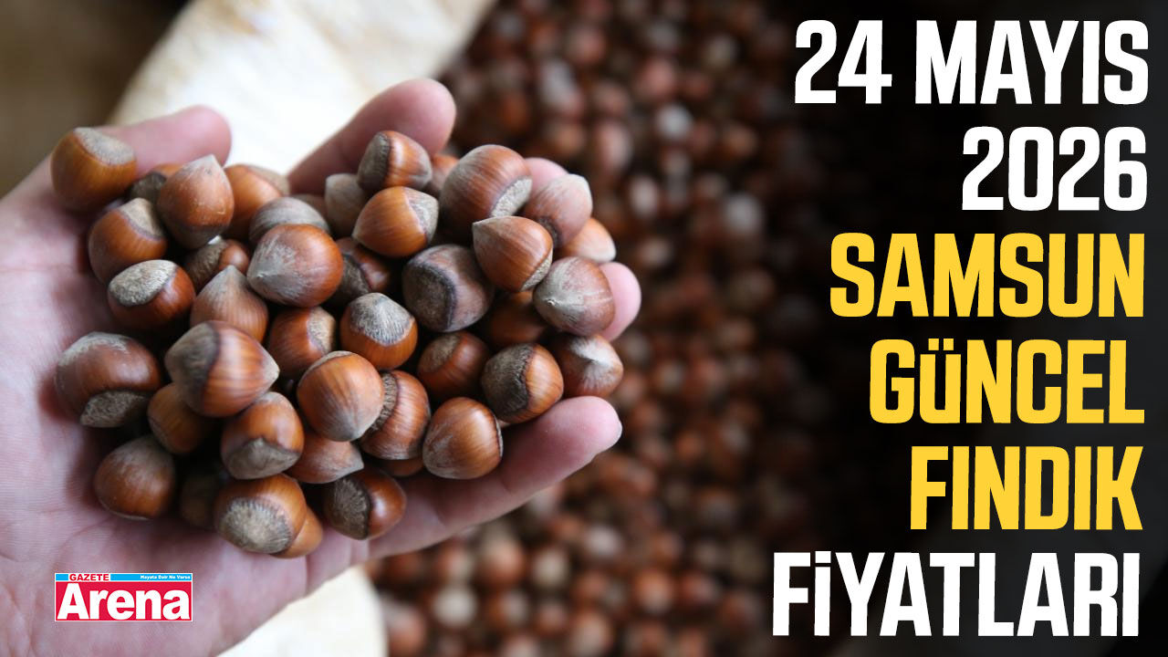 24 Mayıs 2026 Samsun güncel fındık fiyatları