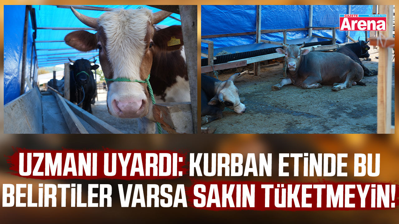 OMÜ’lü uzmandan kritik uyarı: Kurban etinde bu işaretlere dikkat
