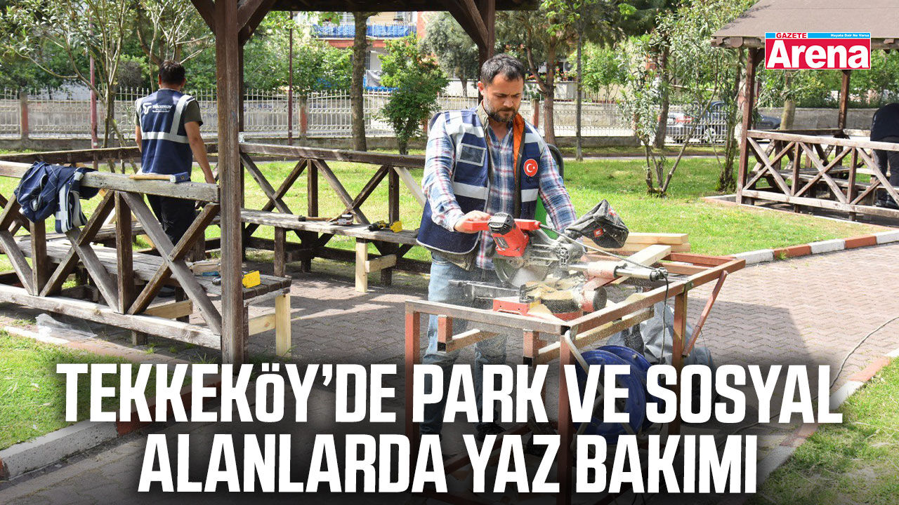 Tekkeköy’de park ve sosyal alanlarda yaz bakımı