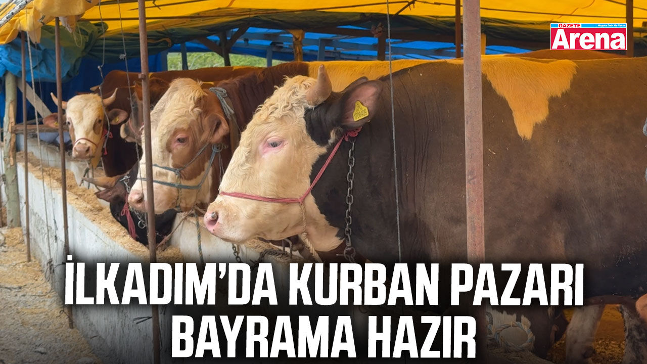 İlkadım’da kurban pazarı bayrama hazır