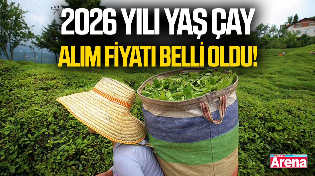 2026 yılı yaş çay alım fiyatı belli oldu!